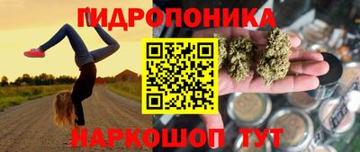 jwh Славгород