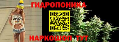 jwh Славгород