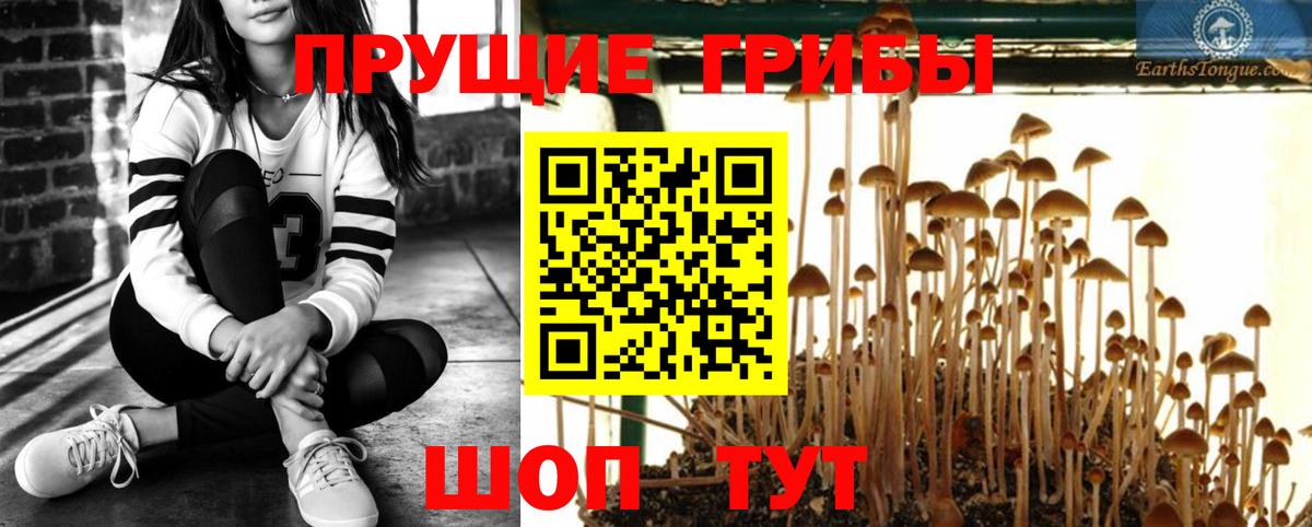Галлюциногенные грибы мухоморы  Вход с VPN  Саров 