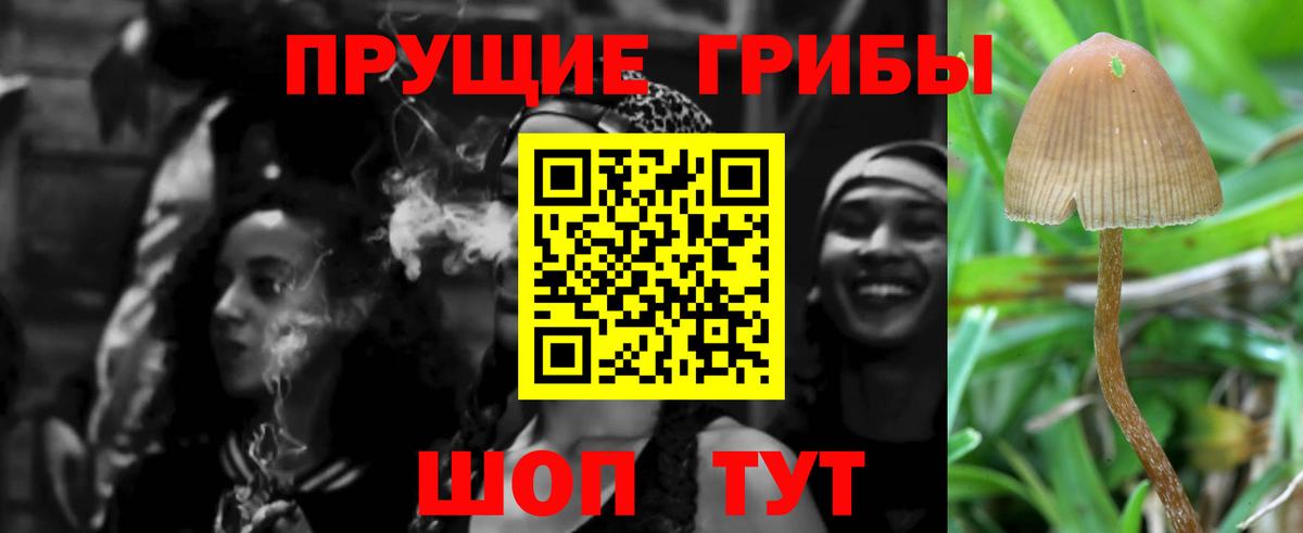 Галлюциногенные грибы прущие грибы Саров